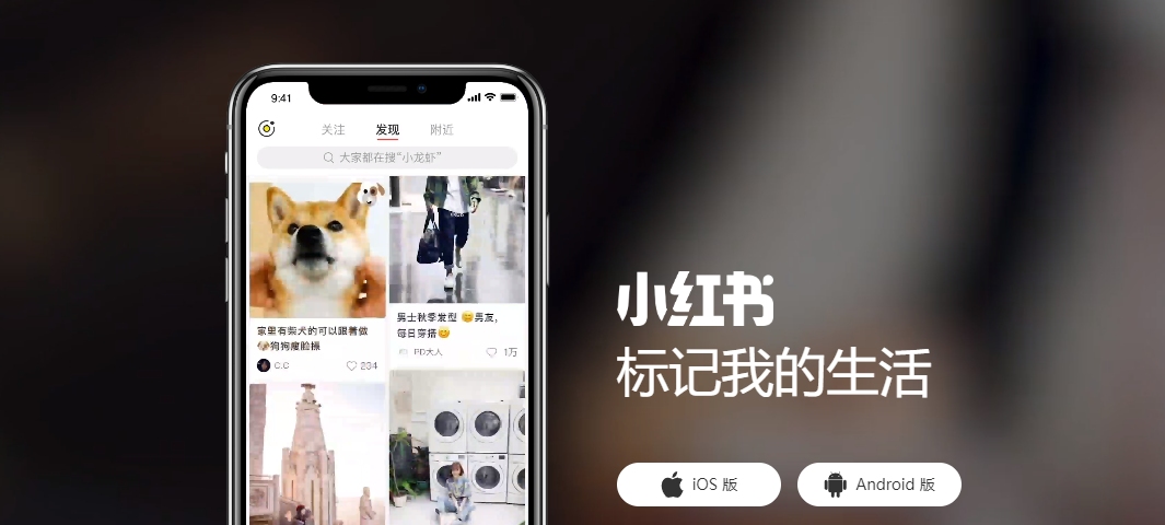How to find xiaohongshu cookie "web_session"?